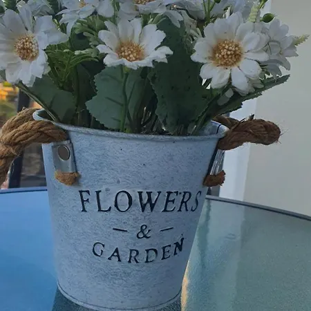 Tadej & Free Parking *