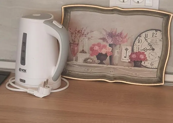 公寓 Tadej & Free Parking *