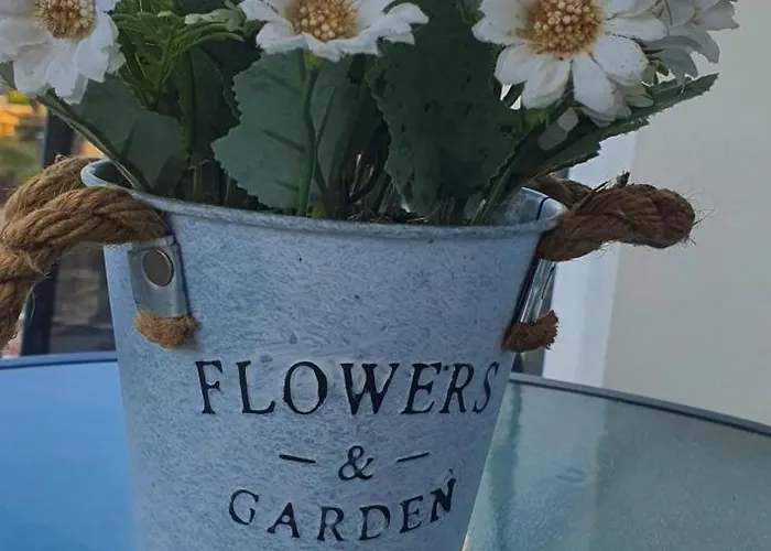 Tadej & Free Parking *