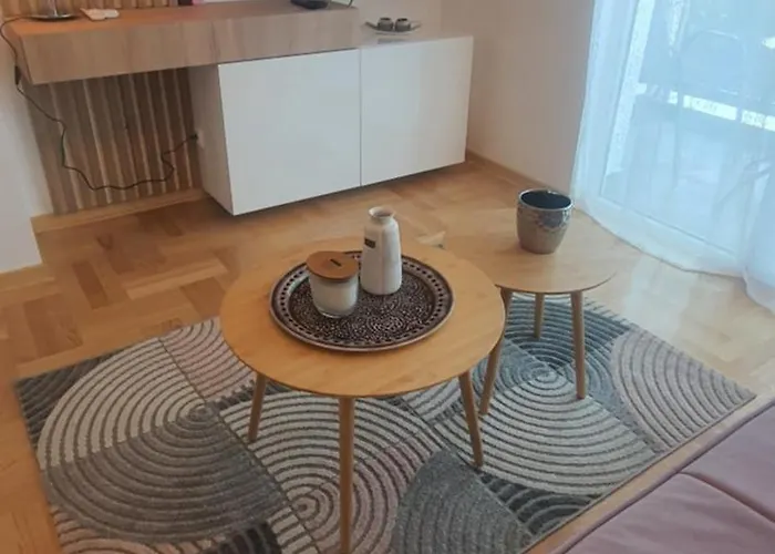 公寓 Tadej & Free Parking Vrnjci